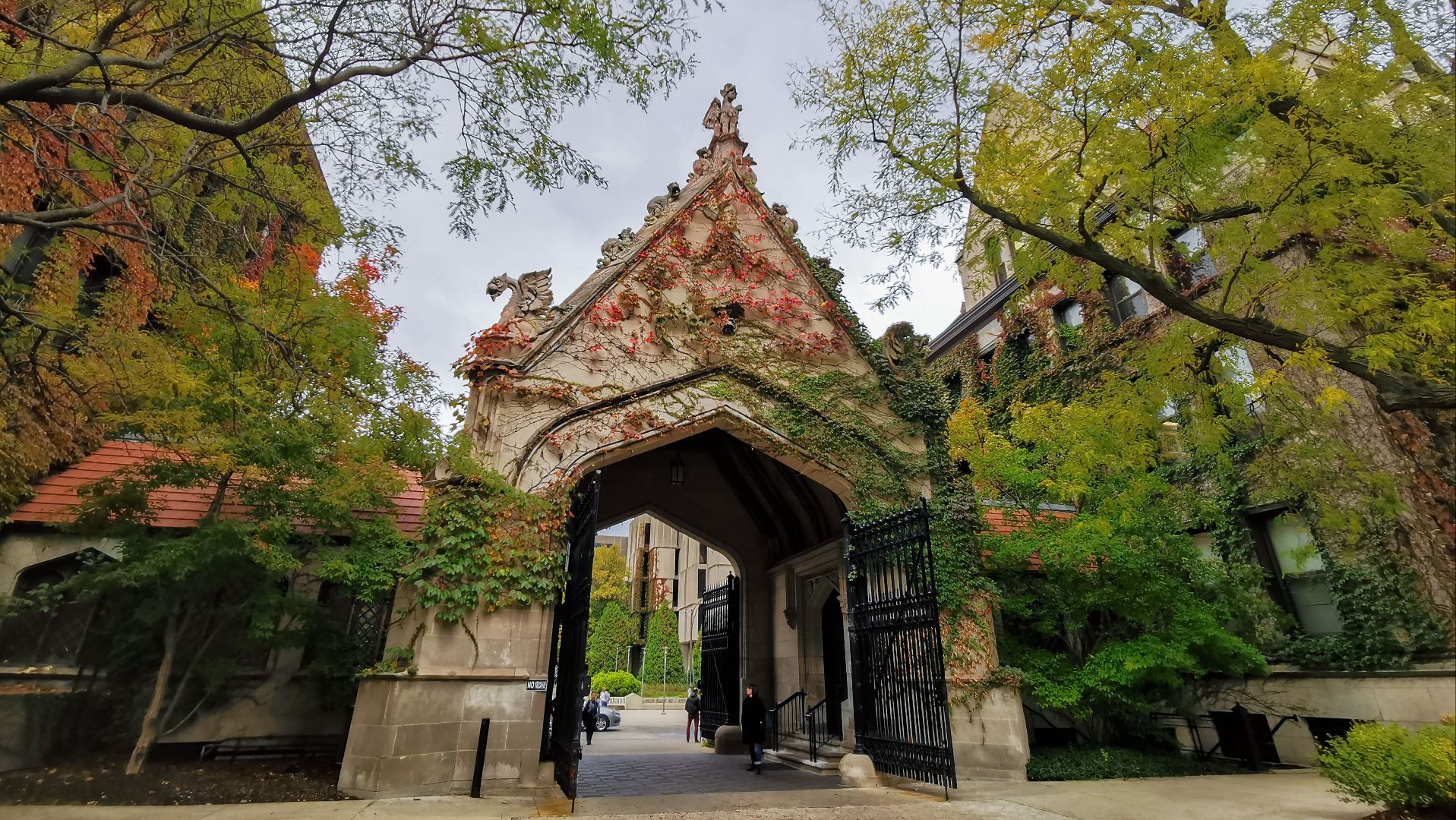 Cobb Gate at the University of Chicago with trees in the foreground