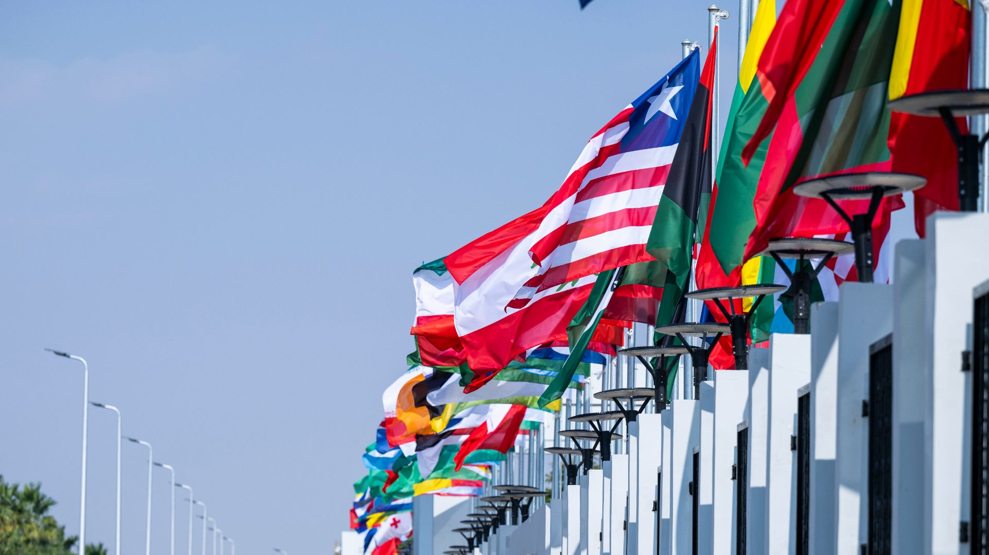 A row of countries' flags