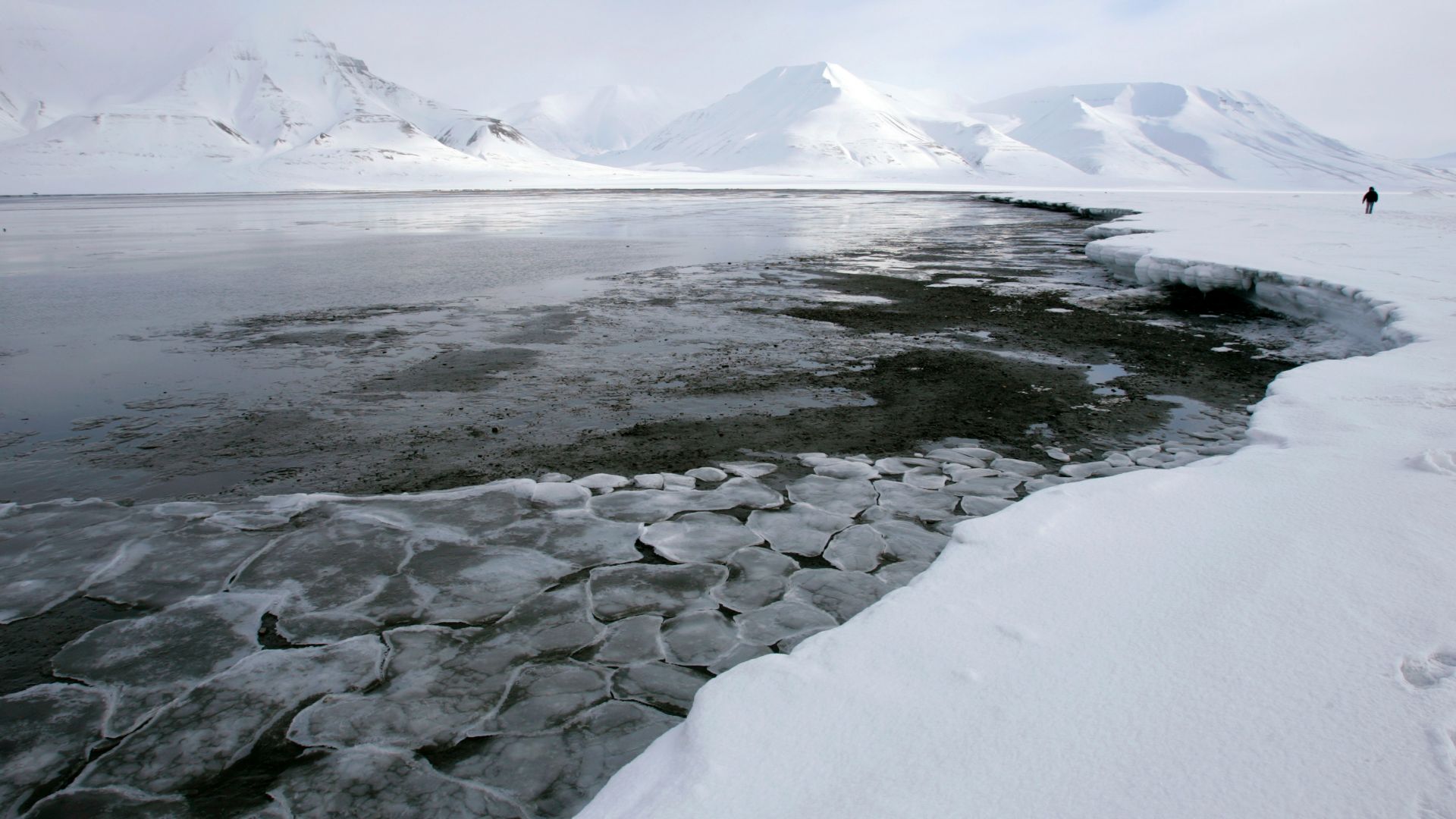 Ice breaks away from a frozen coastline